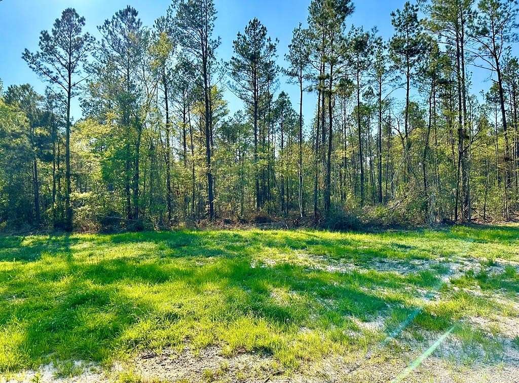 67.06 Acres of Land for Sale in Lufkin, Texas