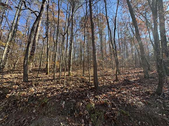 28 Acres of Recreational Land for Sale in Collinsville, Alabama