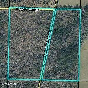 38.6 Acres of Recreational Land for Sale in Bonifay, Florida