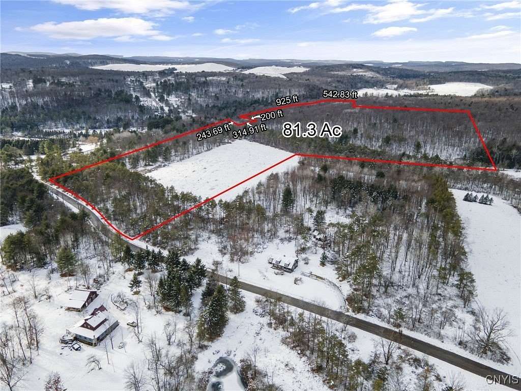 81.3 Acres of Recreational Land for Sale in Barker Town, New York