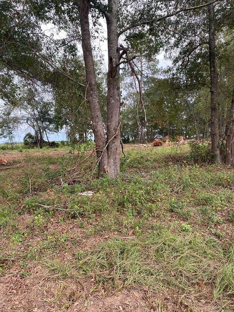 0.5 Acres of Residential Land for Sale in Hawkinsville, Georgia