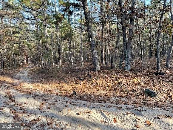 23.5 Acres of Land for Sale in Mays Landing, New Jersey