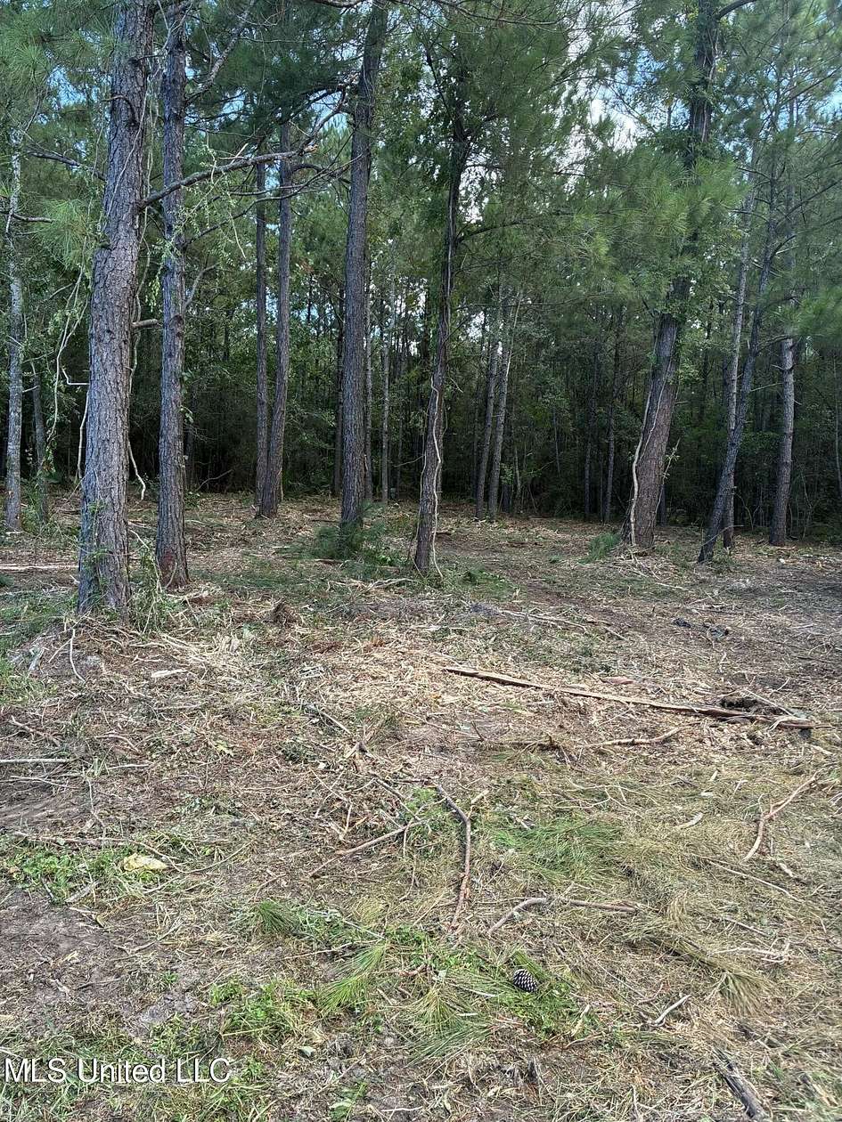 0.21 Acres of Residential Land for Sale in Pass Christian, Mississippi