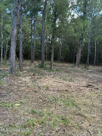 0.21 Acres of Residential Land for Sale in Pass Christian, Mississippi