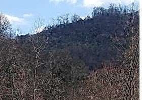 140 Acres of Recreational Land for Sale in Pikeville, Kentucky