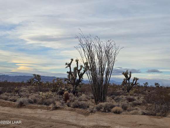 40.13 Acres of Land for Sale in Yucca, Arizona