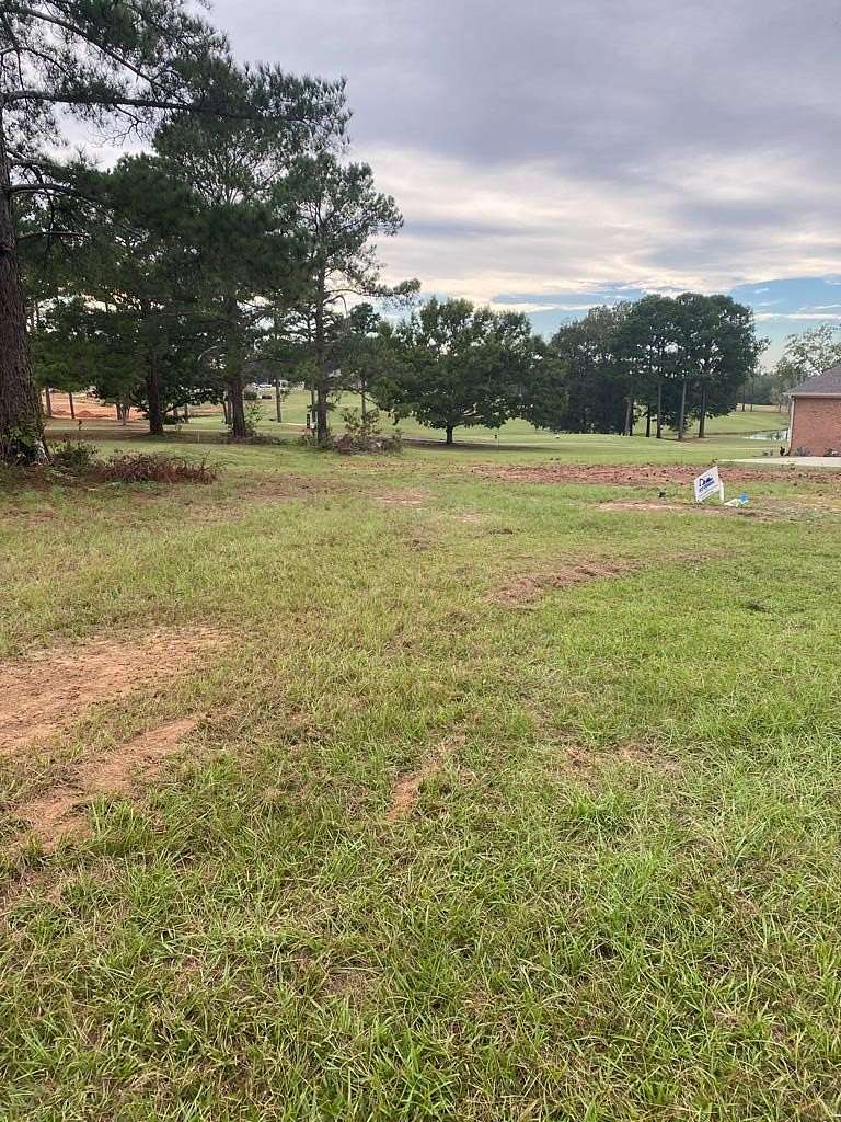 0.52 Acres of Residential Land for Sale in Hawkinsville, Georgia