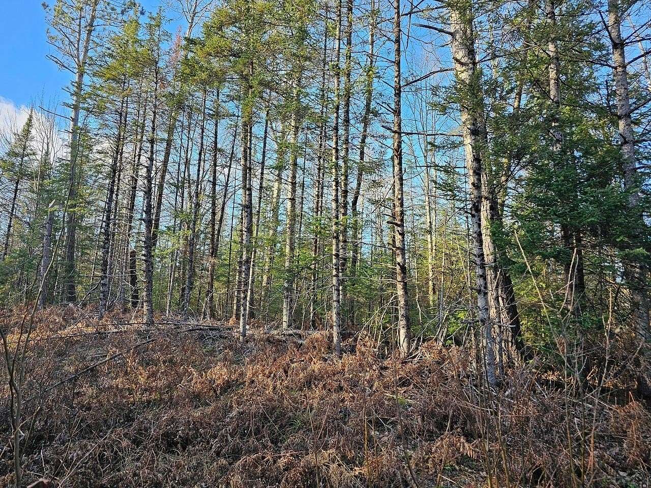 5 Acres of Land for Sale in Hurley, Wisconsin