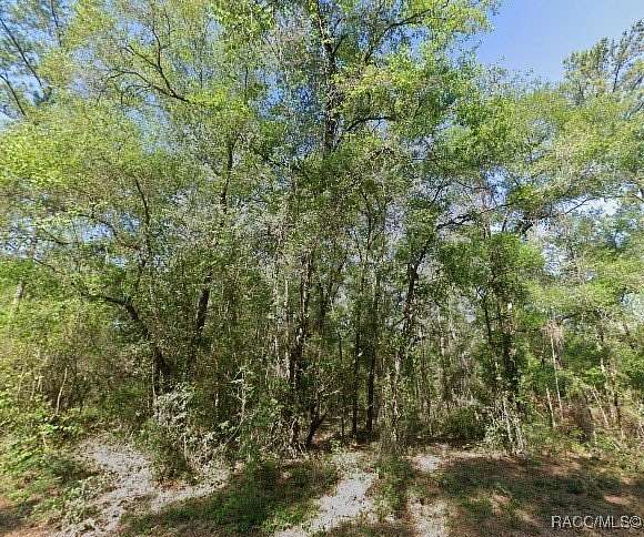 0.23 Acres of Residential Land for Sale in Dunnellon, Florida