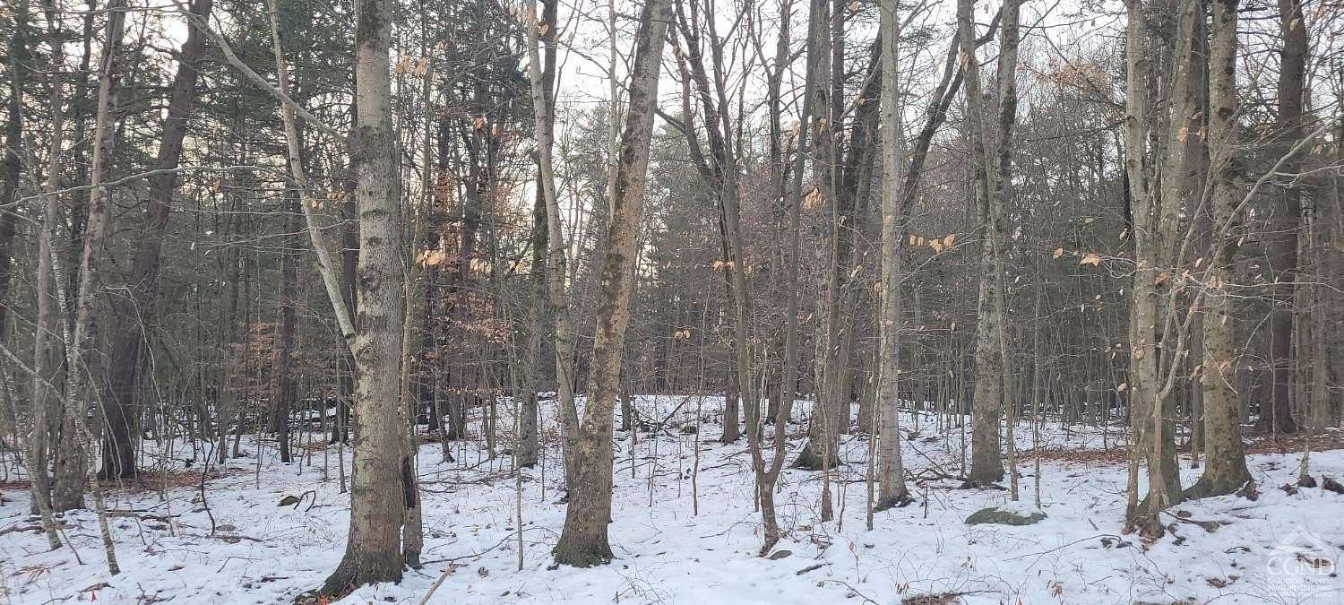 2.02 Acres of Land for Sale in Greenville, New York