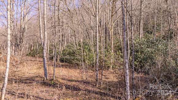 19 Acres of Land for Sale in Marshall, North Carolina