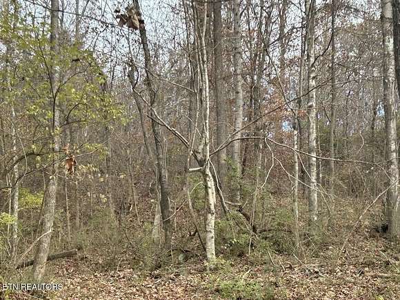 0.67 Acres of Residential Land for Sale in Lenoir City, Tennessee