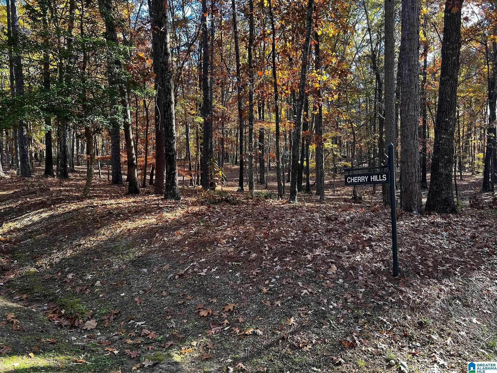 4.7 Acres of Residential Land for Sale in Birmingham, Alabama