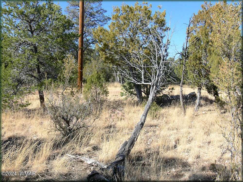 3.01 Acres of Residential Land for Sale in Heber, Arizona