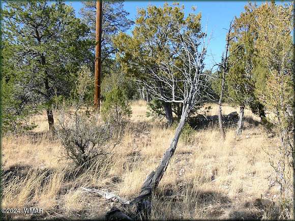 3.01 Acres of Residential Land for Sale in Heber, Arizona