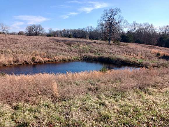 37 Acres of Land for Sale in West Plains, Missouri