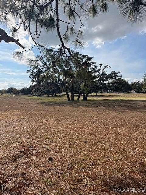 0.35 Acres of Residential Land for Sale in Lecanto, Florida