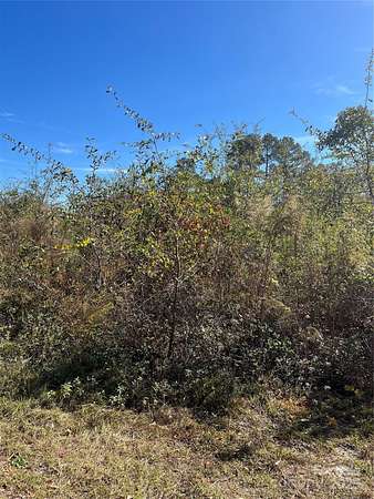 33.5 Acres of Land for Sale in Laurinburg, North Carolina