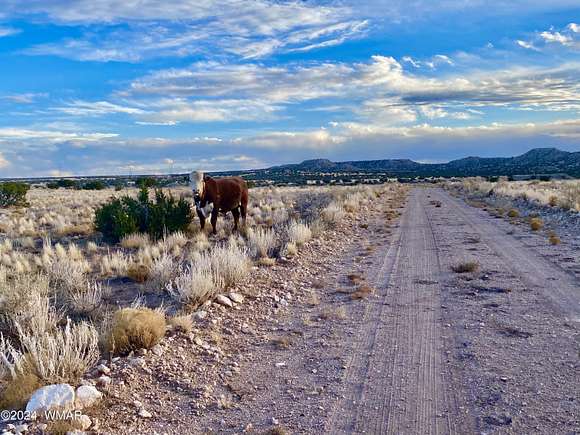 36.22 Acres of Land for Sale in St. Johns, Arizona