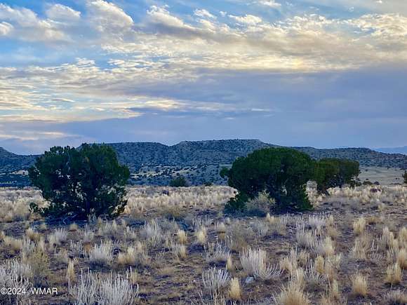 36.22 Acres of Land for Sale in St. Johns, Arizona