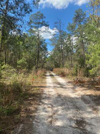 0.23 Acres of Residential Land for Sale in Interlachen, Florida