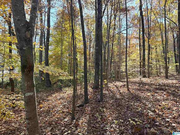 0.61 Acres of Land for Sale in Roanoke, Alabama