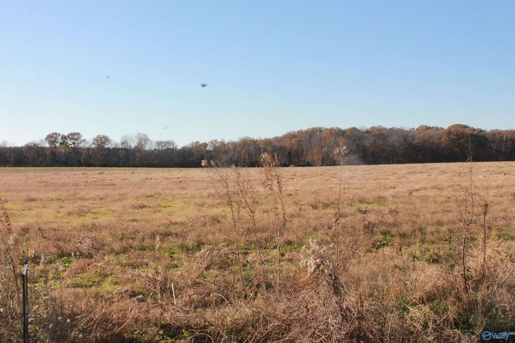 2 Acres of Residential Land for Sale in Falkville, Alabama