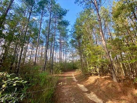 18.94 Acres of Recreational Land for Sale in Brookhaven, Mississippi