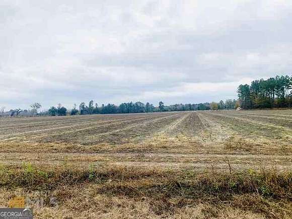 13.25 Acres of Land for Sale in Brooklet, Georgia