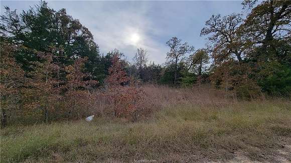 4.393 Acres of Residential Land for Sale in Somerville, Texas