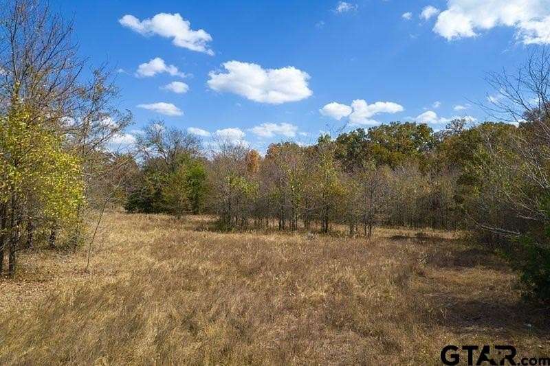 1.3 Acres of Residential Land for Sale in Mount Vernon, Texas