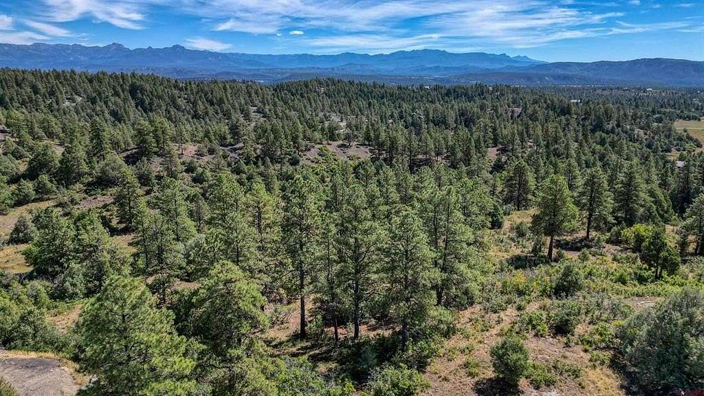 5.27 Acres of Residential Land for Sale in Pagosa Springs, Colorado