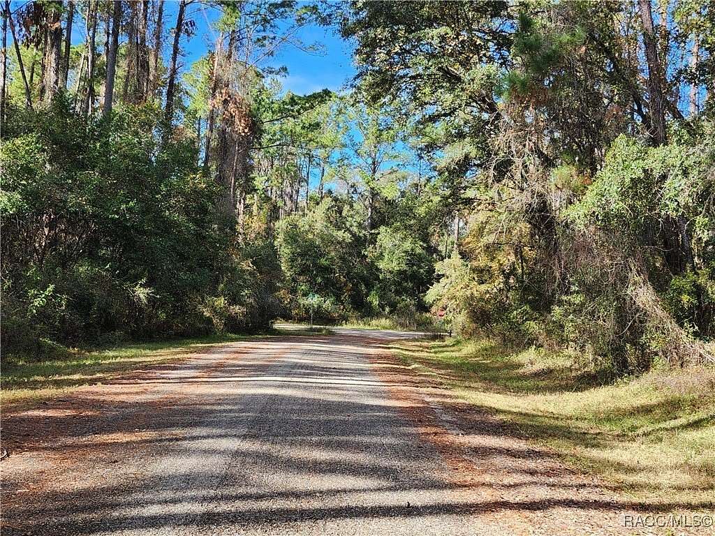 0.34 Acres of Residential Land for Sale in Citrus Springs, Florida