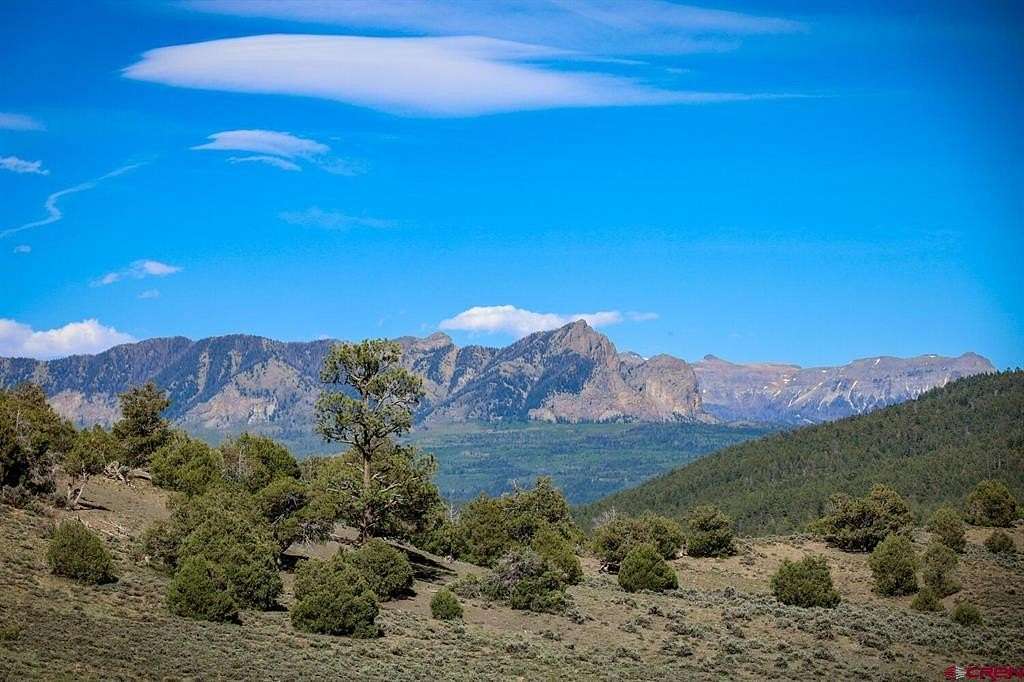 70 Acres of Land for Sale in Pagosa Springs, Colorado