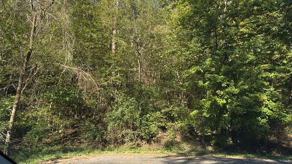 0.5 Acres of Residential Land for Sale in Talbott, Tennessee