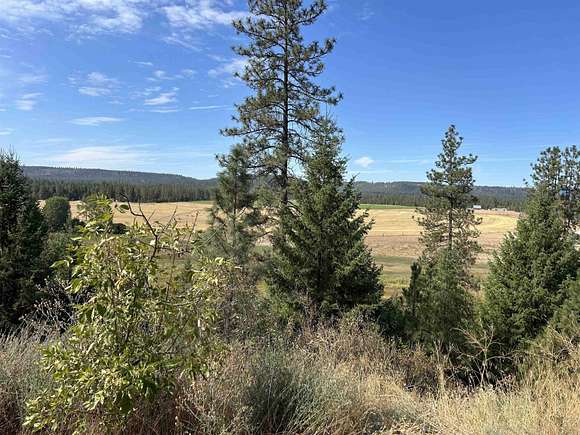 2.5 Acres of Residential Land for Sale in Springdale, Washington