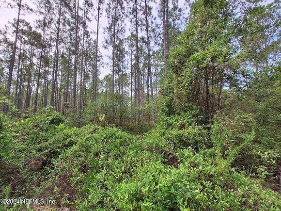 0.43 Acres of Land for Sale in Interlachen, Florida