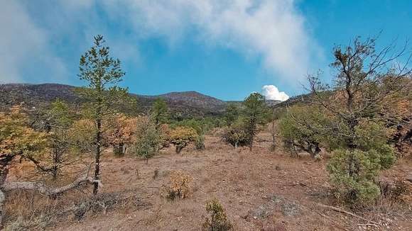 5 Acres of Land for Sale in Fort Davis, Texas