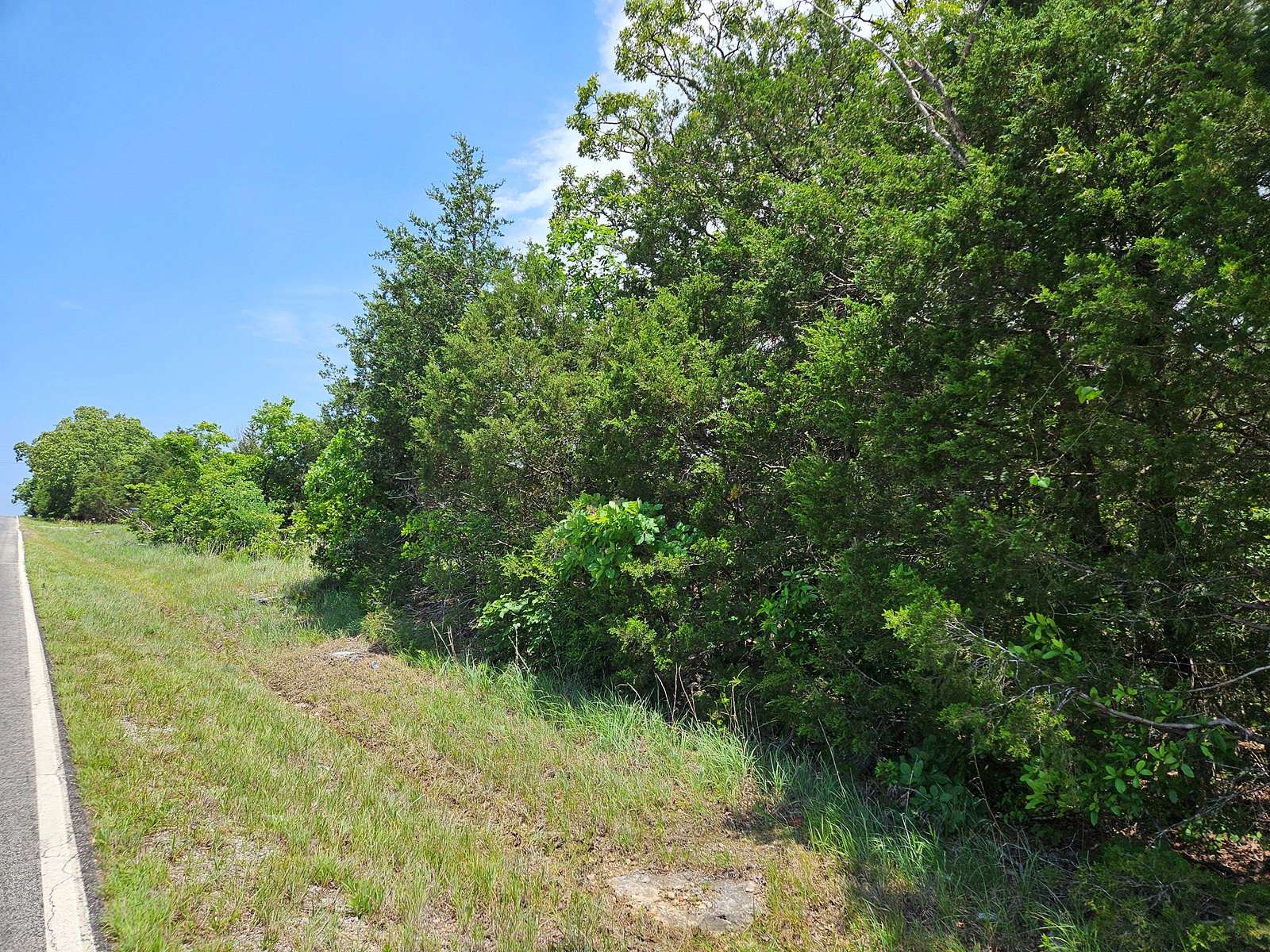 8.03 Acres of Land for Sale in Gainesville, Missouri