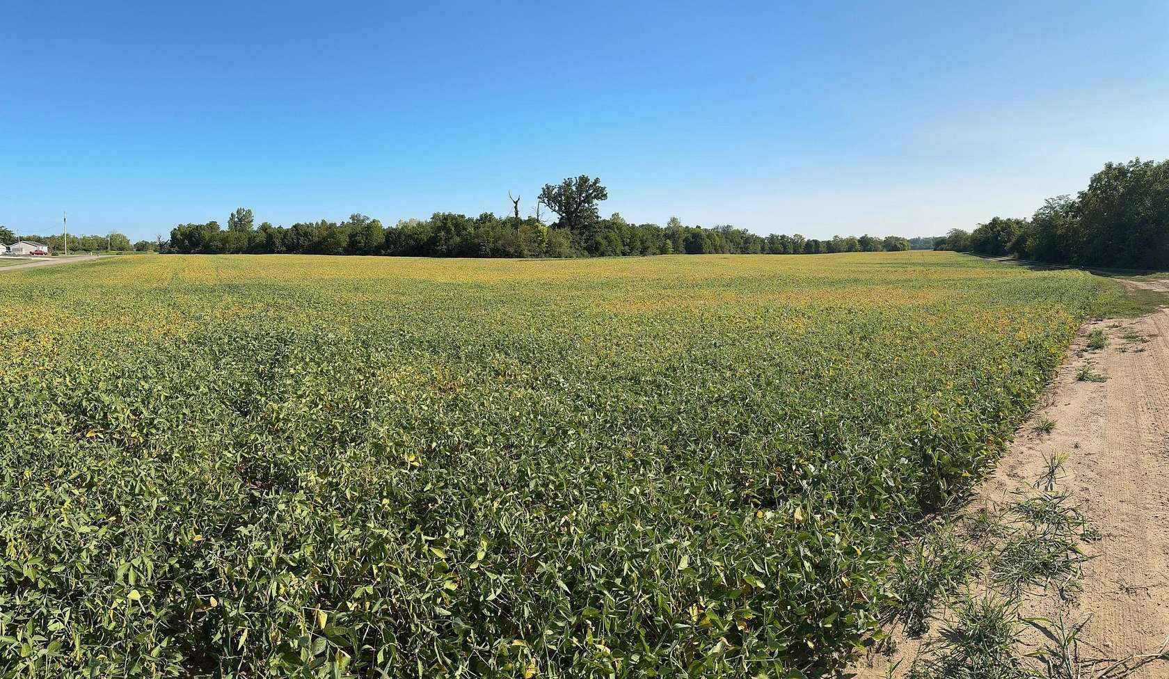 193.53 Acres of Agricultural Land for Sale in Williamsport, Ohio