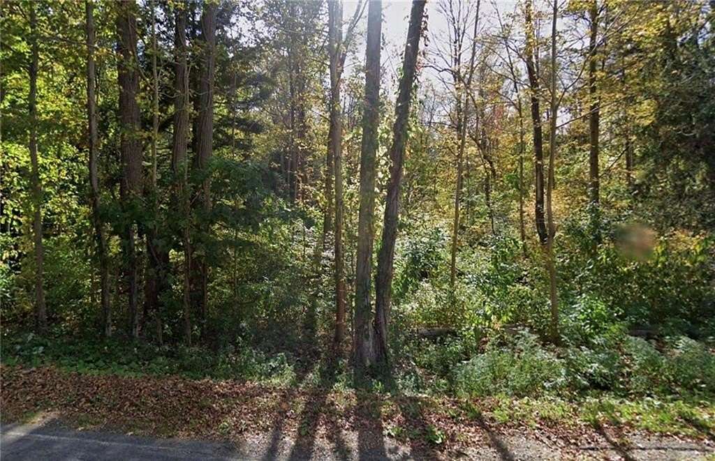 5.035 Acres of Residential Land for Sale in Arcadia Town, New York