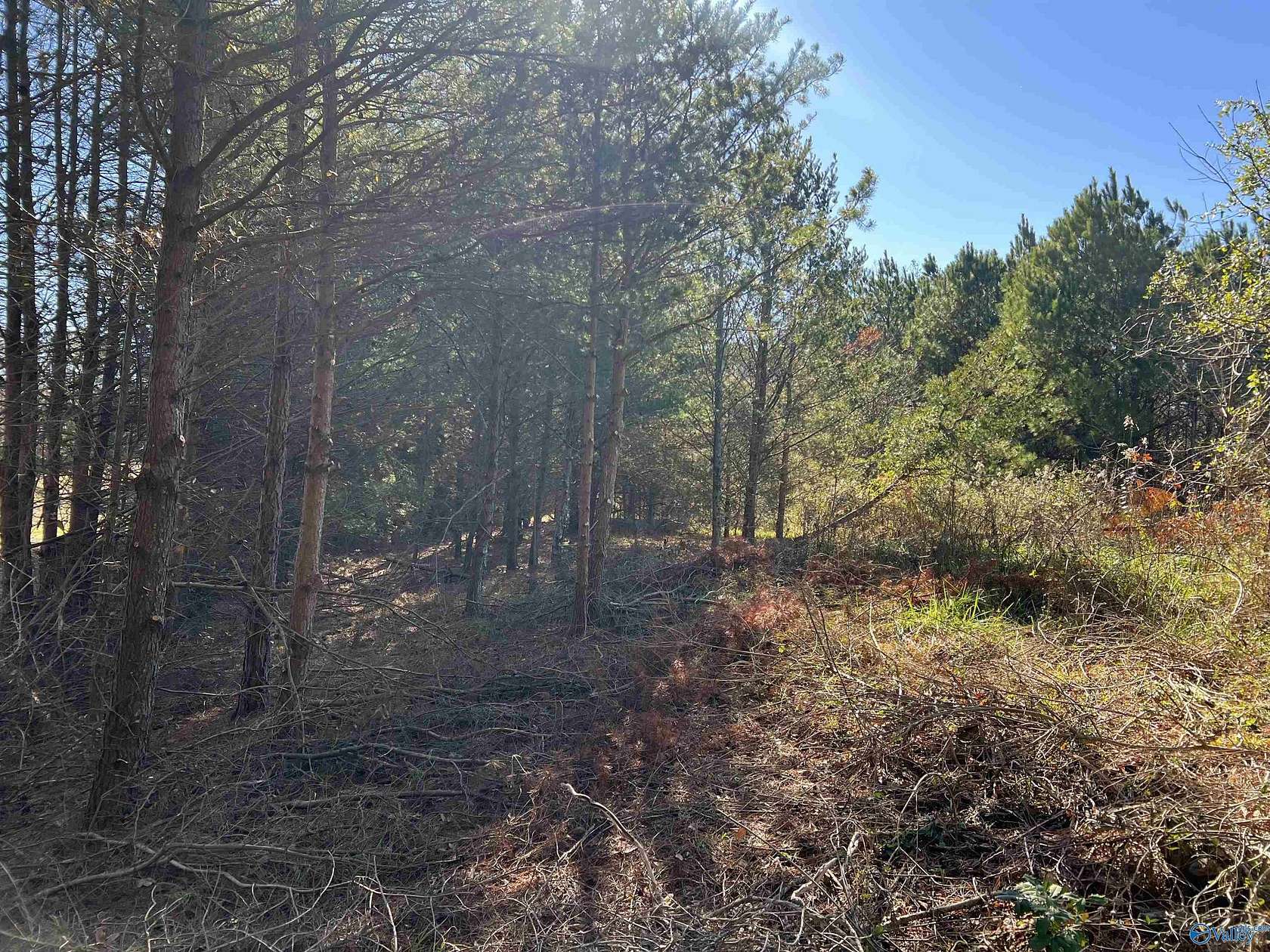 2 Acres of Land for Sale in Mentone, Alabama