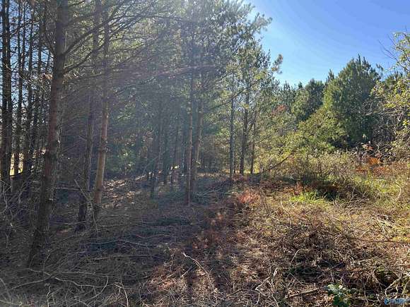 2 Acres of Land for Sale in Mentone, Alabama