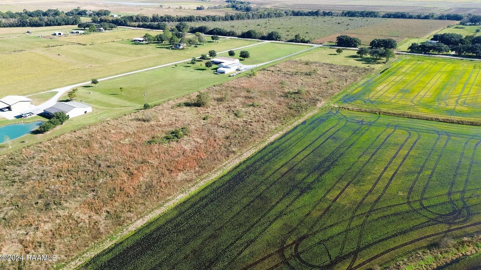 17.4 Acres of Land for Sale in Iota, Louisiana