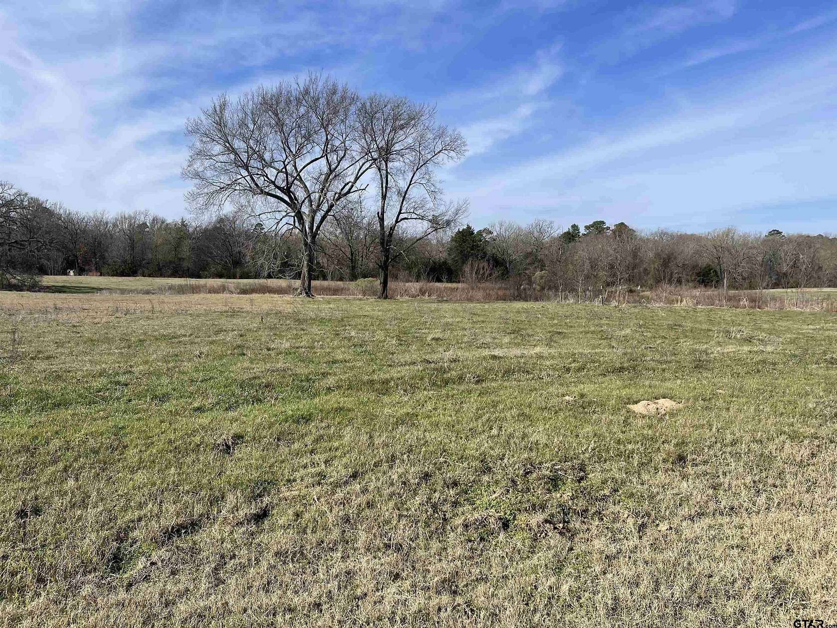 4.846 Acres of Residential Land for Sale in Pittsburg, Texas