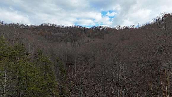 100 Acres of Land for Sale in Pine Top, Kentucky