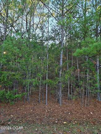 0.432 Acres of Residential Land for Sale in Bella Vista, Arkansas