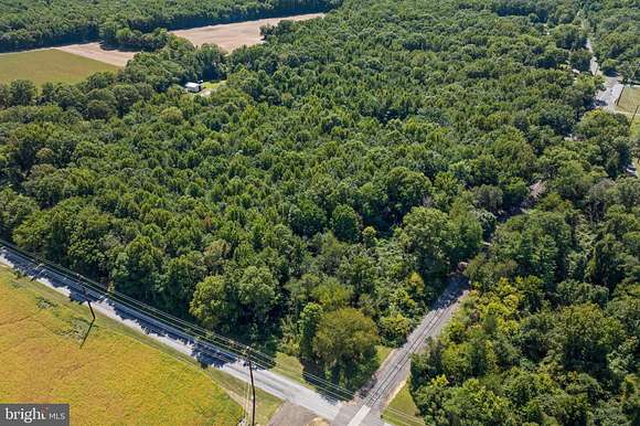 20.86 Acres of Recreational Land for Sale in Pilesgrove Township, New Jersey