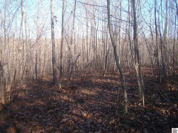 3 Acres of Residential Land for Sale in Cadiz, Kentucky