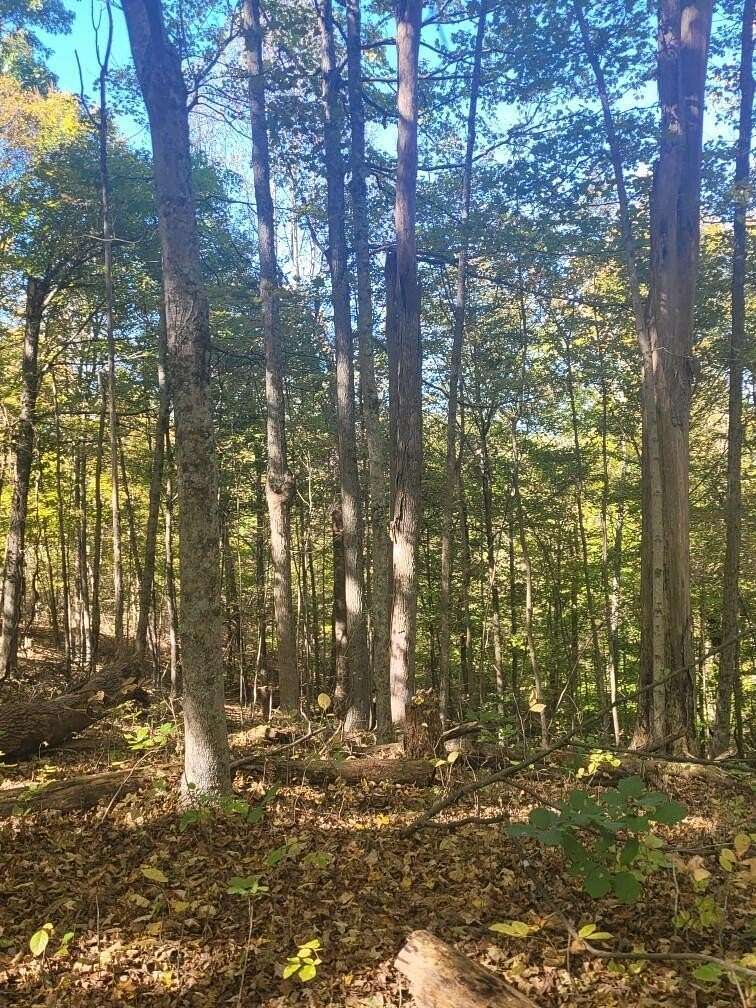 60.13 Acres of Recreational Land for Sale in Stewart, Ohio